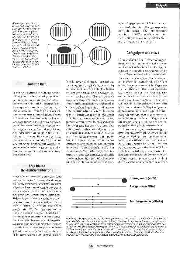 Vorschauseite 2: Vogelgrippe und Influenza-Variabilität