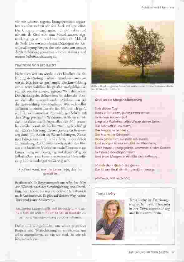 Vorschauseite 2: RESILIENZ Kräftespiel zwischen Anforderung und Ressource