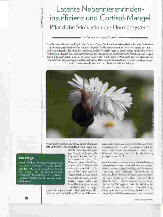 Vorschauseite 1: Latente Nebennierenrindeninsuffizienz und Cortisol-Mangel Pflanzliche Stimulation des Hormonsystems