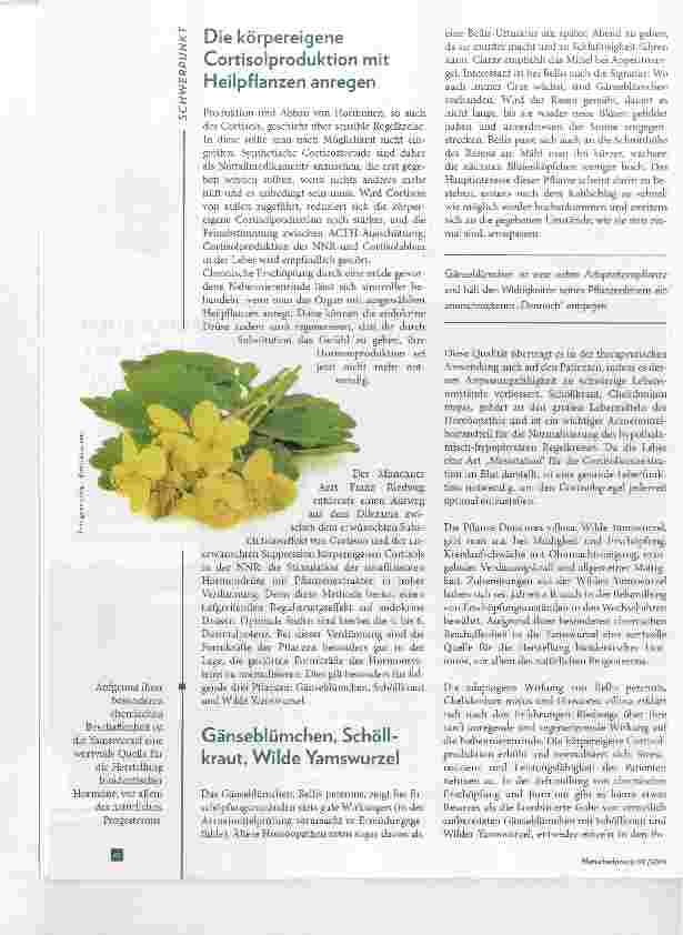 Vorschauseite 3: Latente Nebennierenrindeninsuffizienz und Cortisol-Mangel Pflanzliche Stimulation des Hormonsystems