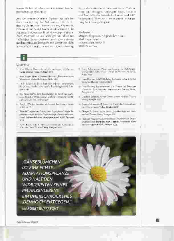 Vorschauseite 4: Latente Nebennierenrindeninsuffizienz und Cortisol-Mangel Pflanzliche Stimulation des Hormonsystems