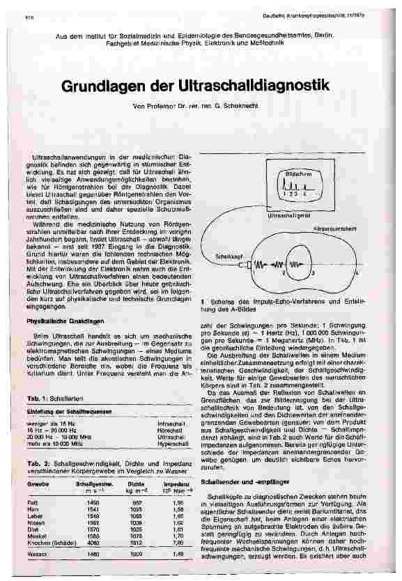 Vorschauseite 1: Grundlagen der Ultraschalldiagnostik