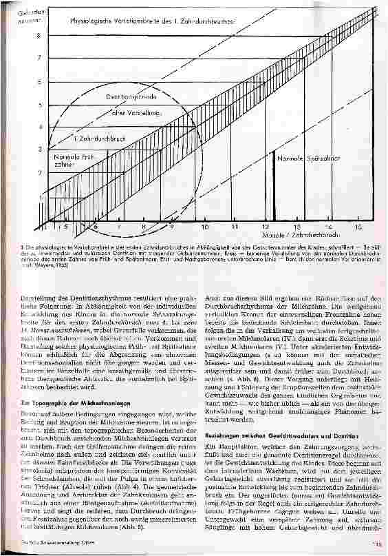 Vorschauseite 3: Der erste Zahndurchbruch und der Dentitionsrhytmus im Milchgebiß