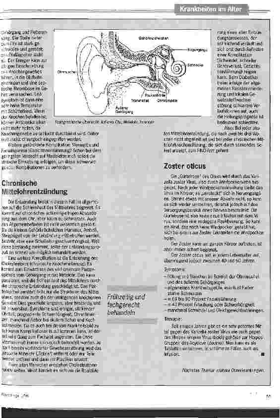 Vorschauseite 2: Was steckt hinter Ohrenschmerzen? Typische Leitsymptome bei Erkrankungen im Ohrbereich