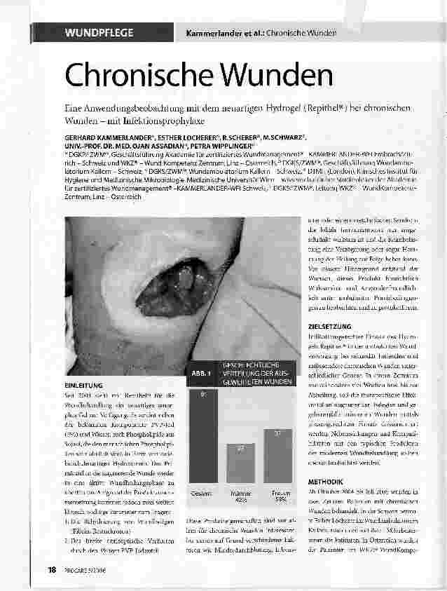 Vorschauseite 1: Chronische WundenEine Anwendungsbeobachtung mit dem neuartigen Hydrogel (Repithel®) bei chronischen Wunden - mit Infektionsprophylaxe