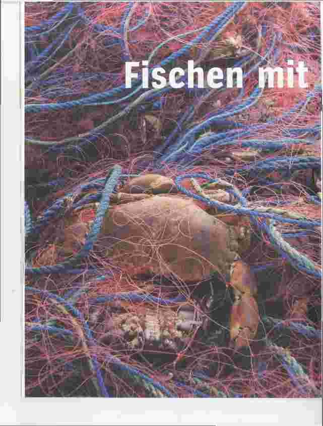 Vorschauseite 1: Fischen mit feinem Netz