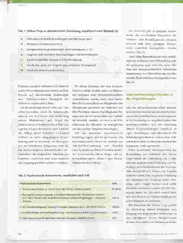 Vorschauseite 3: Yellow Flags
