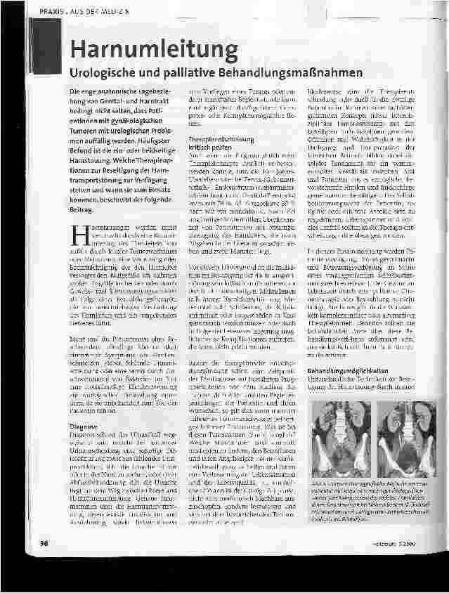 Vorschauseite 1: HarnumleitungUrologische und palliative Behandlungsmaßnahmen