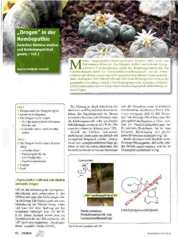 Vorschauseite 1: Drogen in der Homöopathie