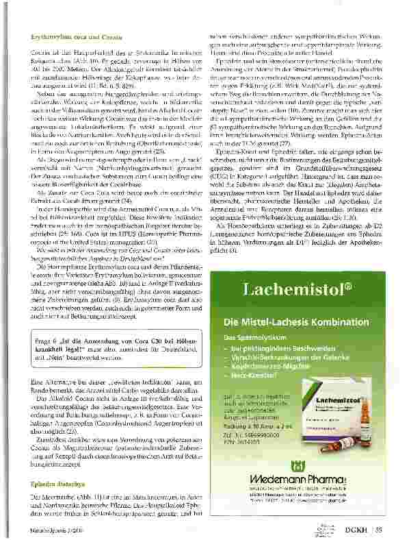 Vorschauseite 6: Drogen in der Homöopathie
