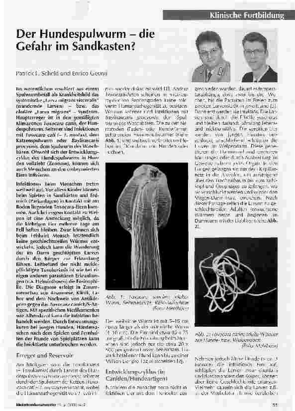 Vorschauseite 1: Der Hundespulwurm - die Gefahr im Sandkasten?