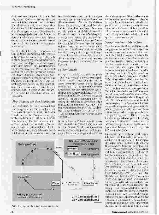 Vorschauseite 2: Der Hundespulwurm - die Gefahr im Sandkasten?