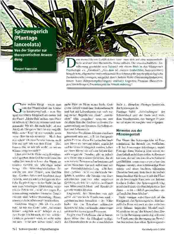 Vorschauseite 1: Spitzwegerich (Plantago lanceolata)