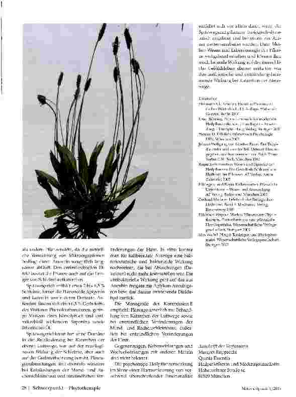 Vorschauseite 3: Spitzwegerich (Plantago lanceolata)