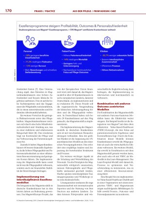 Vorschauseite 2: Blick einer großen internationalen Company auf die Magnet®-Krankenhaus-Entwicklung in Deutschland