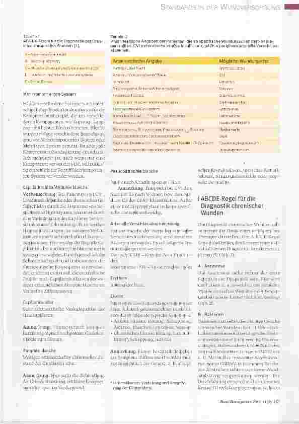 Vorschauseite 3: Standards des ICW e. V. für die Diagnostik und Therapie chronischer Wunden