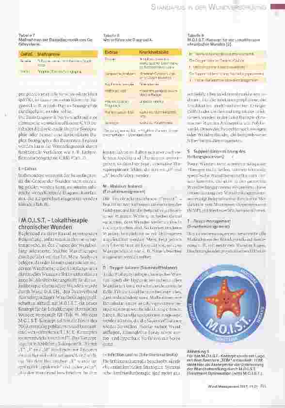 Vorschauseite 5: Standards des ICW e. V. für die Diagnostik und Therapie chronischer Wunden