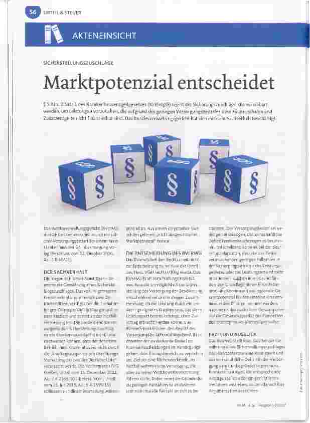 Vorschauseite 1: Marktpotenzial entscheidet