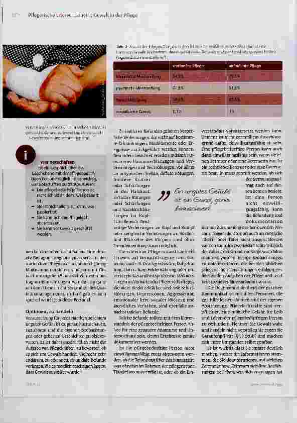 Vorschauseite 3: Mögliche Gewalt erkennen und dokumentieren