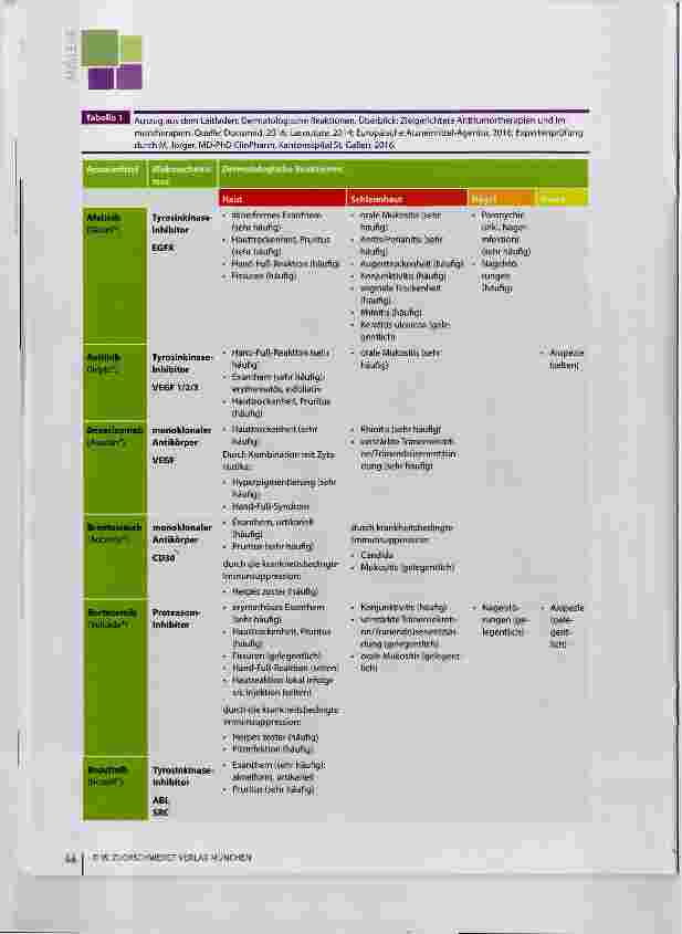 Vorschauseite 4: Leitfaden „Dermatologische Reaktionen unter medikamentöser Antitumortherapie“