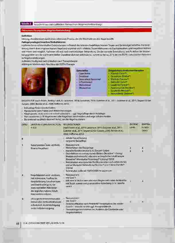 Vorschauseite 6: Leitfaden „Dermatologische Reaktionen unter medikamentöser Antitumortherapie“