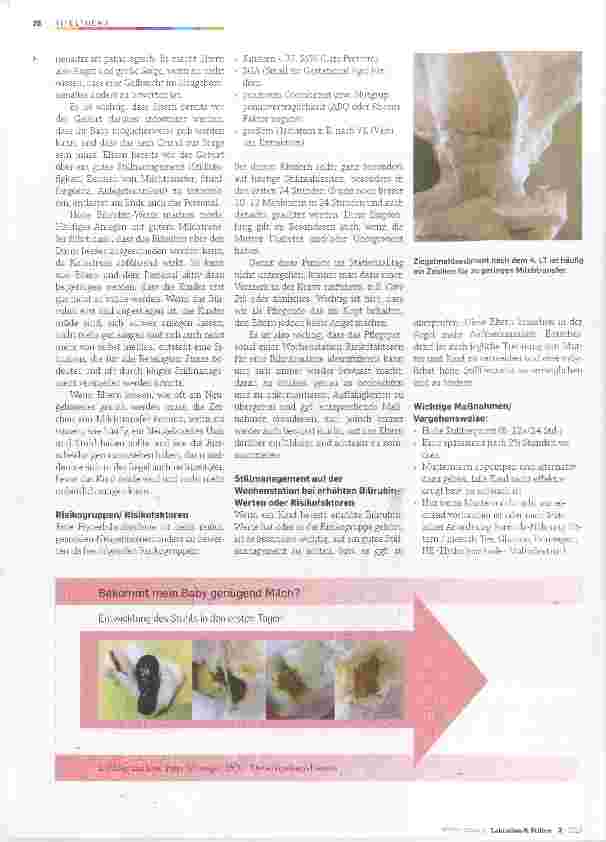Vorschauseite 2: Hyperbilirubinämie