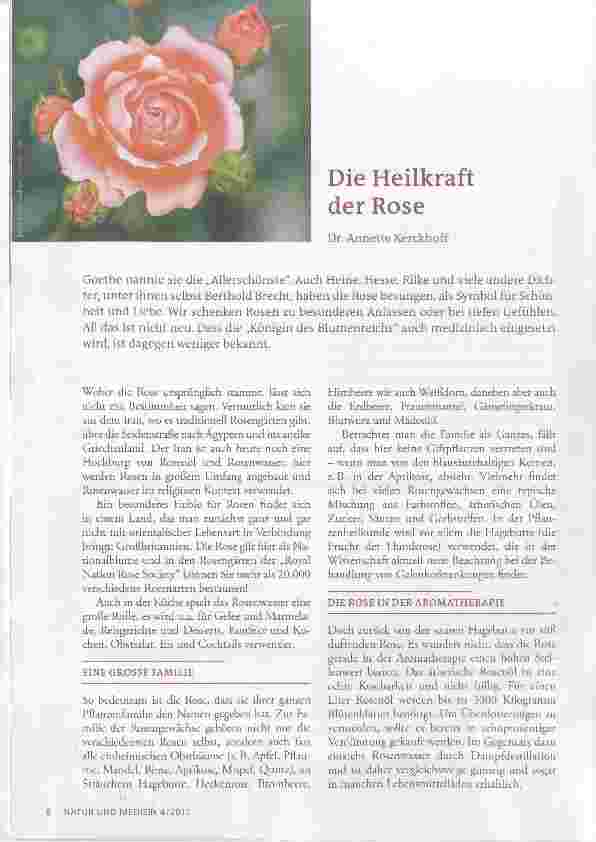 Vorschauseite 1: Die Heilkraft der Rose