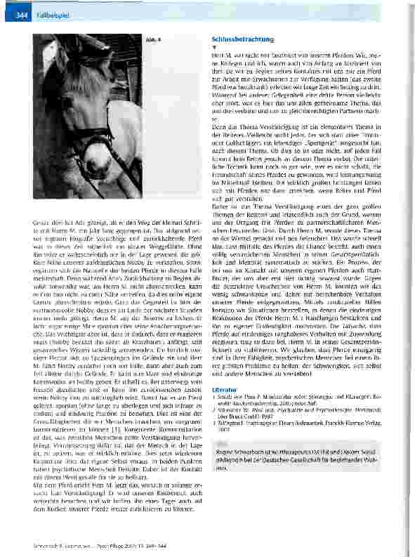Vorschauseite 5: Sag mir, wie soll ich sein, damit wir uns verstehen!Eine Fallbeschreibung aus dem Therapeutischen Reiten mit chronisch psychisch kranken Erwachsenen