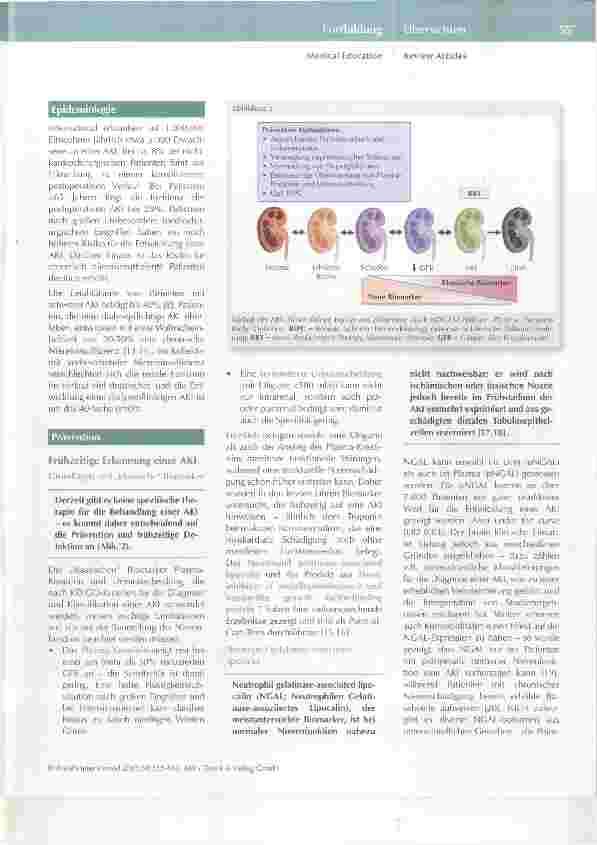 Vorschauseite 3: Perioperative akute Nierenschädigung
