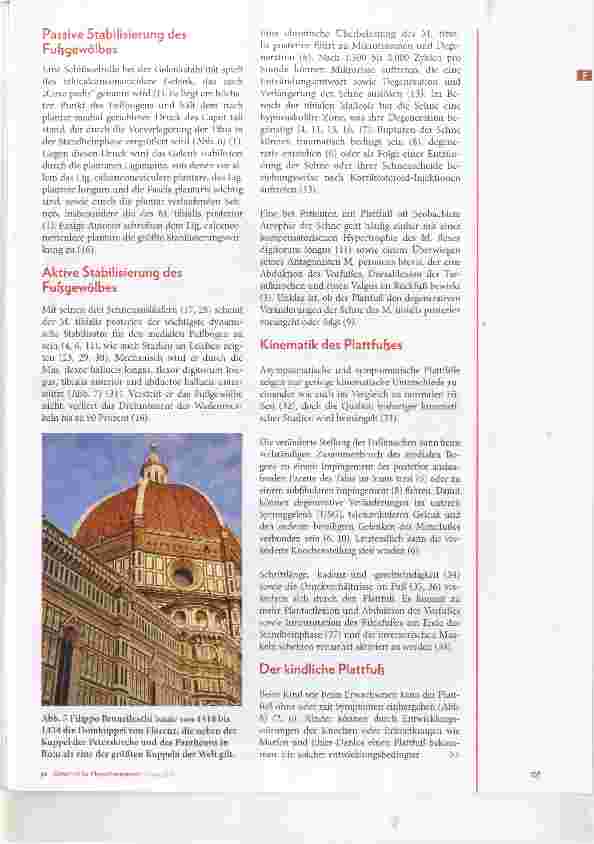 Vorschauseite 4: Der Plattfuss Narrativer Review zu Grundlagen, Pathophysiologieund Kinennatik