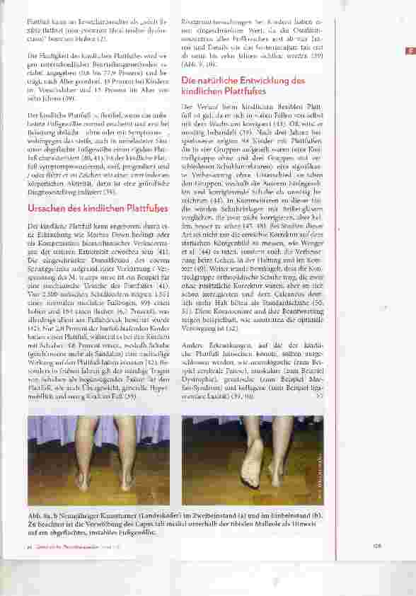 Vorschauseite 6: Der Plattfuss Narrativer Review zu Grundlagen, Pathophysiologieund Kinennatik
