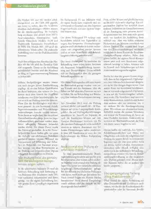 Vorschauseite 3: Einen Beruf neu erschaffen- Naturheilpraktiker Alternativmedizin in der Schweiz