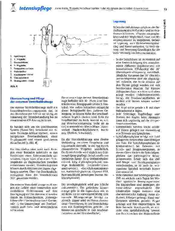 Vorschauseite 4: Pflegerische Schwerpunkte in der Akutphase des Schädel-Hirnverletzten