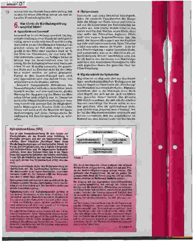 Vorschauseite 2: Dekubitus-Therapie Teil 3: Therapiefragen, Heilungsstörungen und Kosten