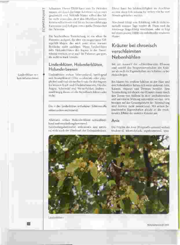 Vorschauseite 3: Bewährte Kräuter bei Husten, Schnupfen, Heiserkeit