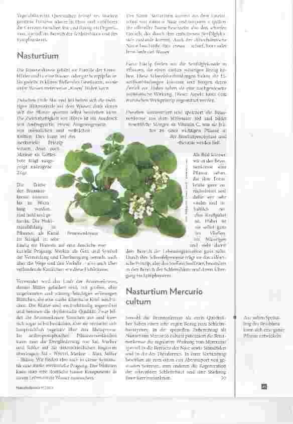 Vorschauseite 2: Die vegetabilisierten Metalle Vegetabilisiertes Quecksilber