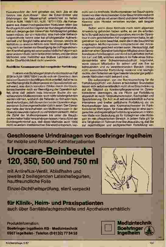 Vorschauseite 2: Strafrechtliche Auswirkungen und haftungsrechtliche Eigenverantwortlichkeit