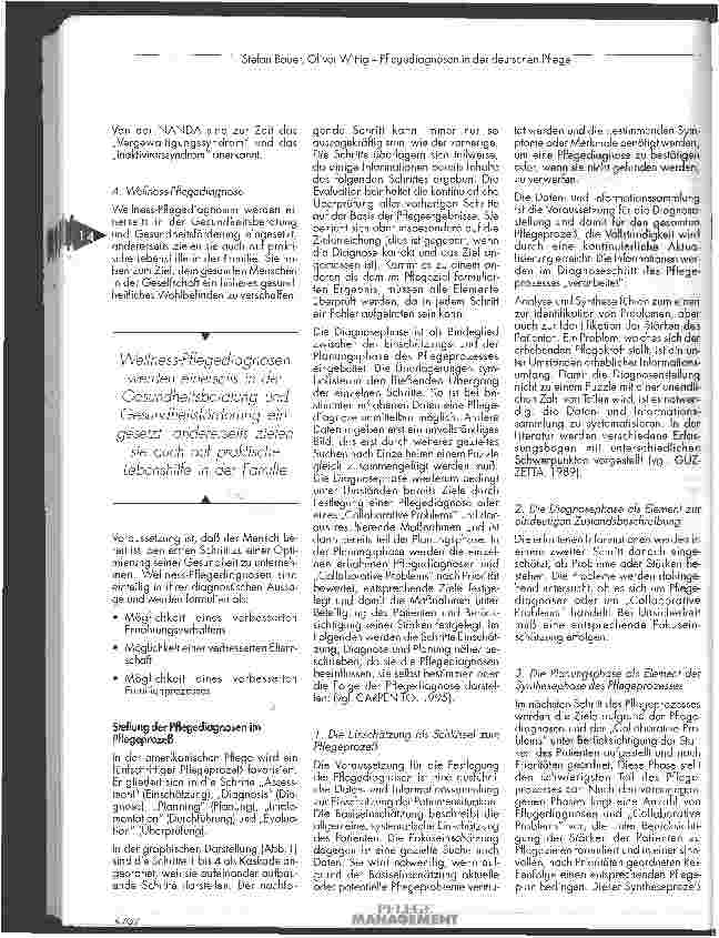 Vorschauseite 6: Pflegediagnosen in der deutschen Pflege
