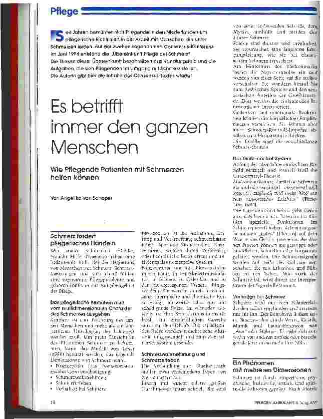 Vorschauseite 1: Es betrifft immer den ganzen Menschen Wie Pflegende Patienten mit Schmerzen helfen können