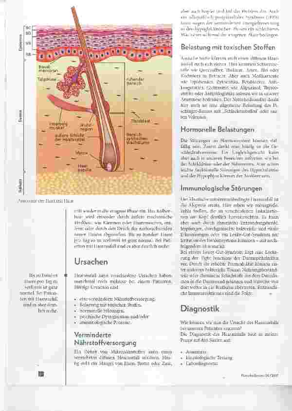 Vorschauseite 2: Haarausfall