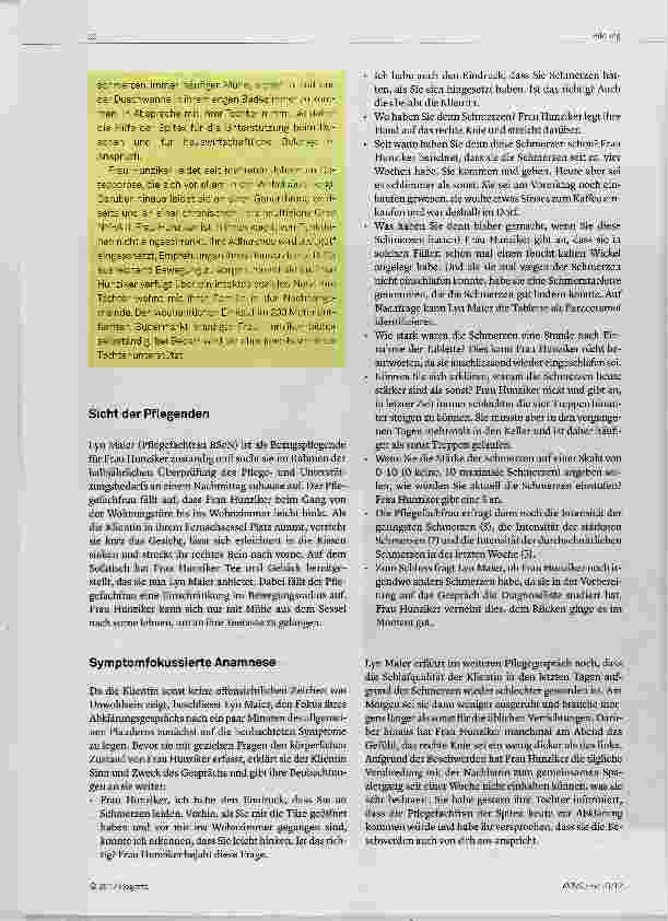 Vorschauseite 2: Einschätzung einer Schmerz-Situation Clinical Assessment Teil 4