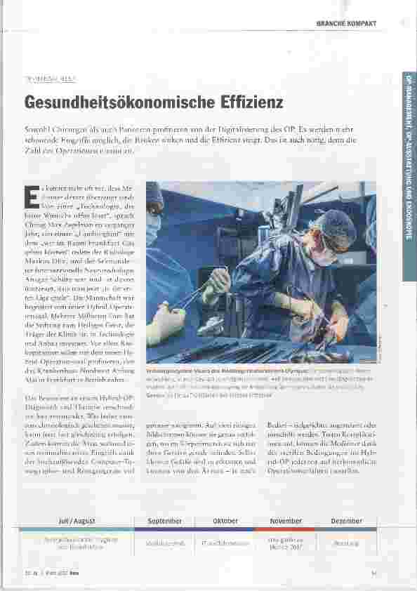 Vorschauseite 1: Gesundheitsökonomische Effizienz