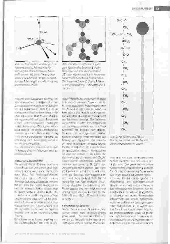 Vorschauseite 2: In vitro Effektivität von Wundspüllösungen -Vergleich von Salzlösungen und einer tensidhaltigen Wundspülung