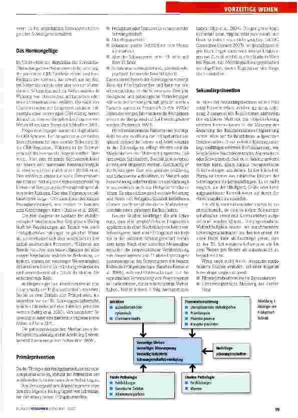 Vorschauseite 2: Prophylaxe konsequent nutzen!