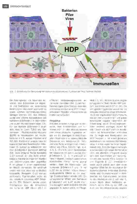 Vorschauseite 4: Effektormoleküle der angeborenen Immunabwehrneue Therapieoptionen für die Behandlung diabetischer Wunden?
