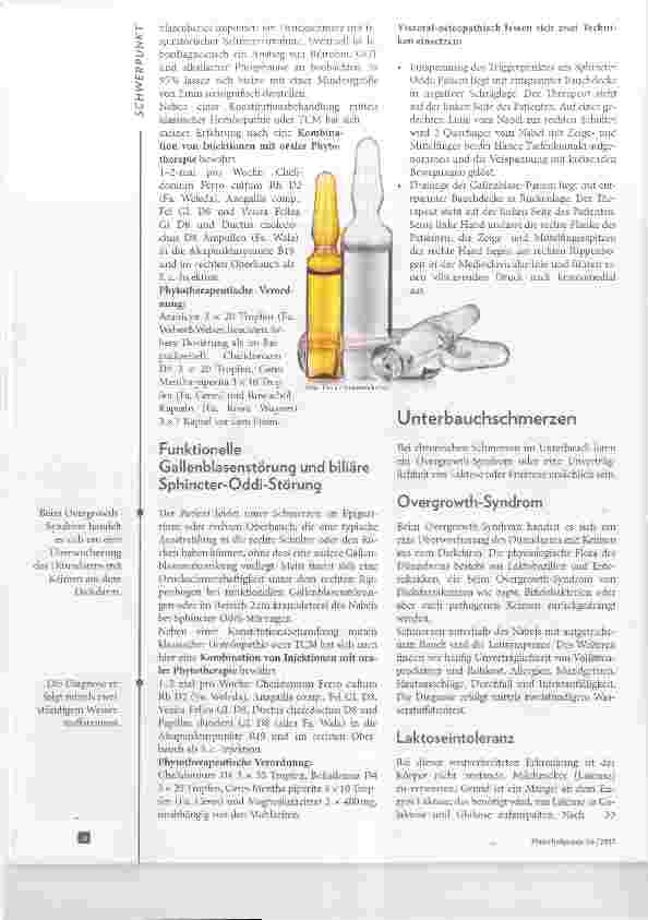 Vorschauseite 3: Chronische Bauchschmerzen Überblick über mögliche Ursachen