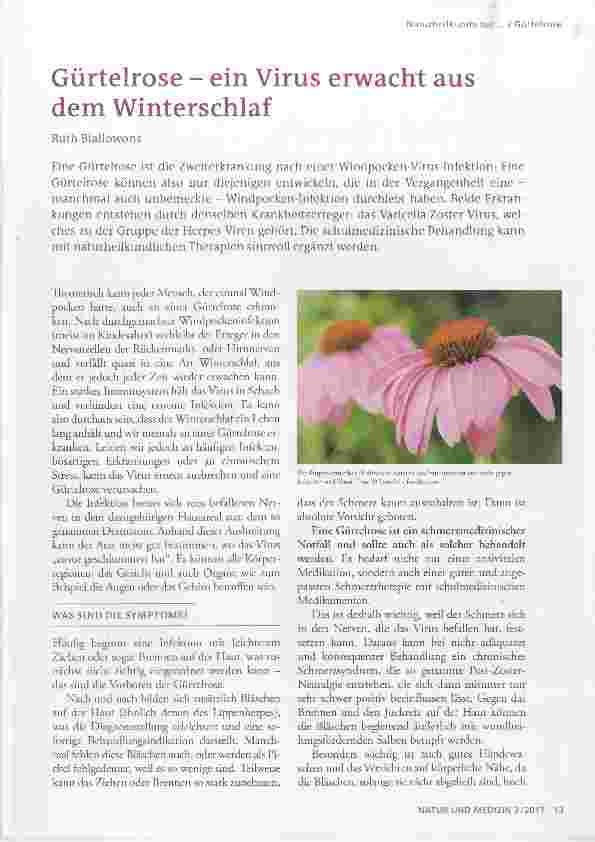 Vorschauseite 1: Gürtelrose ein Virus erwacht aus dem Winterschlaf