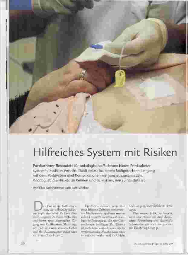 Vorschauseite 1: Hilfreiches System mit Risiken