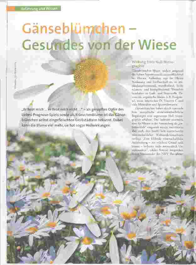 Vorschauseite 1: Gänseblümchen Gesundes von der Wiese