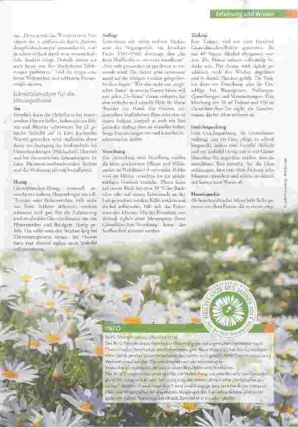 Vorschauseite 2: Gänseblümchen Gesundes von der Wiese